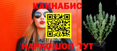ГАЛЛЮЦИНОГЕННЫЕ ГРИБЫ Тула