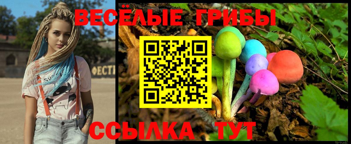 Псилоцибиновые грибы Psilocybe  Галлюциногенные грибы Psilocybine cubensis  как найти закладки  Вход с VPN  Нижнеудинск 