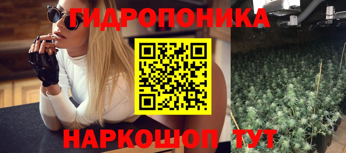 МАРИХУАНА конопля Нижнеудинск